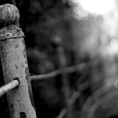 photo "***"