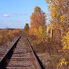 фото "Еще раз об осени"