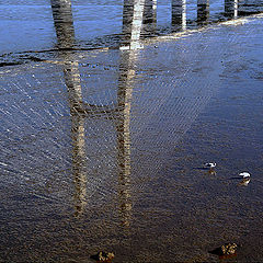 photo "The contrary bridge"