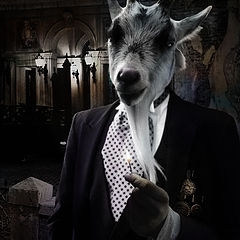 photo "Over and Under General War Commander Sergeant Billy Goat Legs"