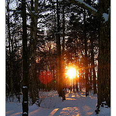 photo "In the Park"