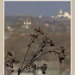 photo "Autumn in Pereslavl - Zalesski"