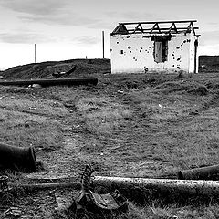 фото ""Постядерные" зарисовки"