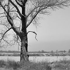 Фотоальбом "ГРАФИКА"