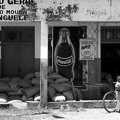 фото "Coke in Bushland, everywhere"