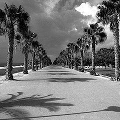 фото "Limassol Promenade"