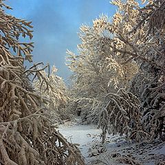 фото "Опушка Двенадцати Месяцев"