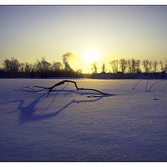 фото "зимнее слонце"