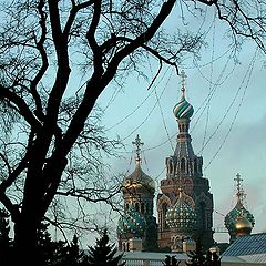 фото "Предновогодний этюд"