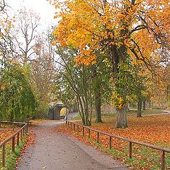 фото "Autumn colors"