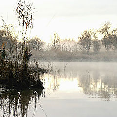 photo "Late autumn"