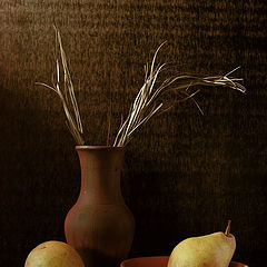 photo "***"