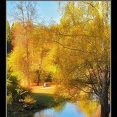 photo "Warmly Autumn park #11"