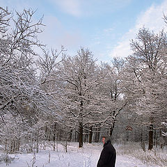 photo "When trees became small...  :)"