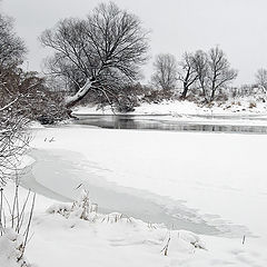 photo "The Protva river"