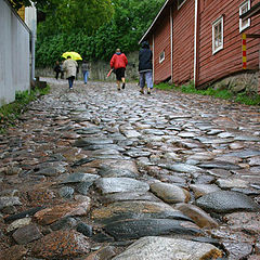 photo "After rain"