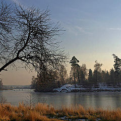 photo "The first ice"