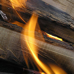 photo "Fire"