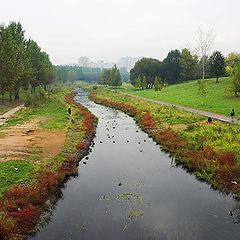 photo "Autumn on Yauza"