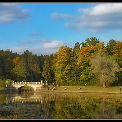 photo "In Pavlovsk park #6"