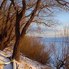 фото "The Shortest Day"