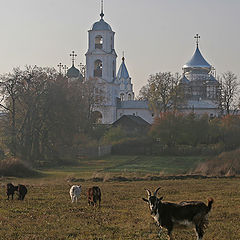 фото "Вечерняя прогулка"