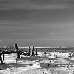 фото "Landscape after snowstorm"