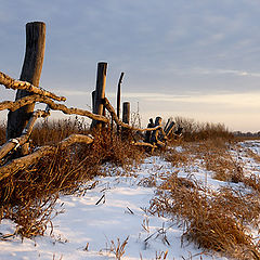 фото "Winter scene # 1"