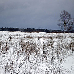 фото "snow field"