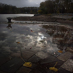 фото "Посмотри в небо"