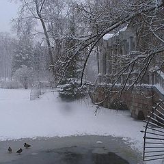 photo "in the park of Pushkin"