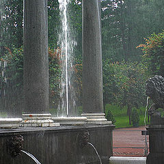 photo "Under The Rain Near Fountain"