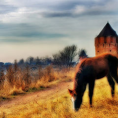 photo "Suzdal 4"