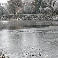 photo "frozen winter"