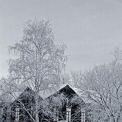 photo "Winter"