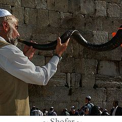 photo "Shofar"