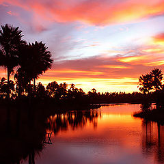 photo "The Lake"