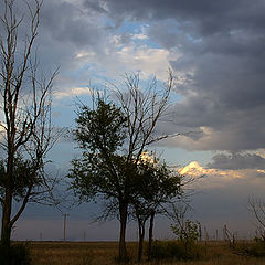 фото "Закатная. Степная"