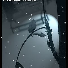 photo "All with coming New year!"