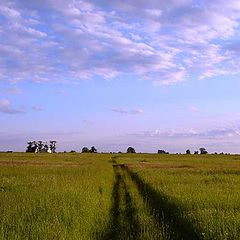фото "Дорога в поле"