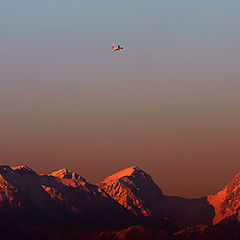 photo "Learning to Fly"