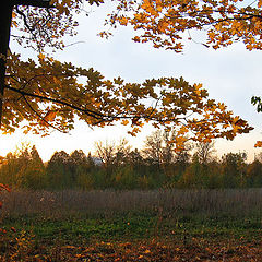 photo "Recollecting Autumn!"