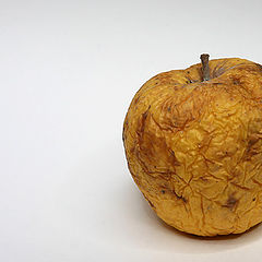 photo "Old Apple"