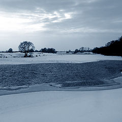 photo "winter solstice"