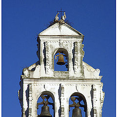 photo "Bell tower with storks"