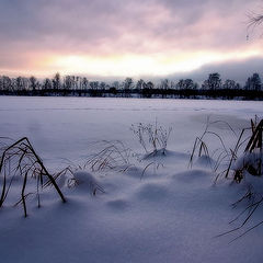 photo "Winter evening"