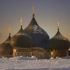 photo "AFTER THE SNOWFALL"