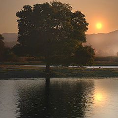 photo "Morning reflections"