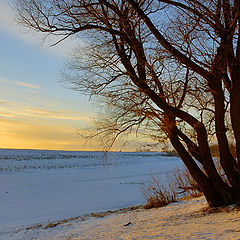 photo "December. Sundown."