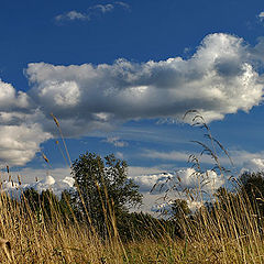 photo "Seeing Off The Clouds"